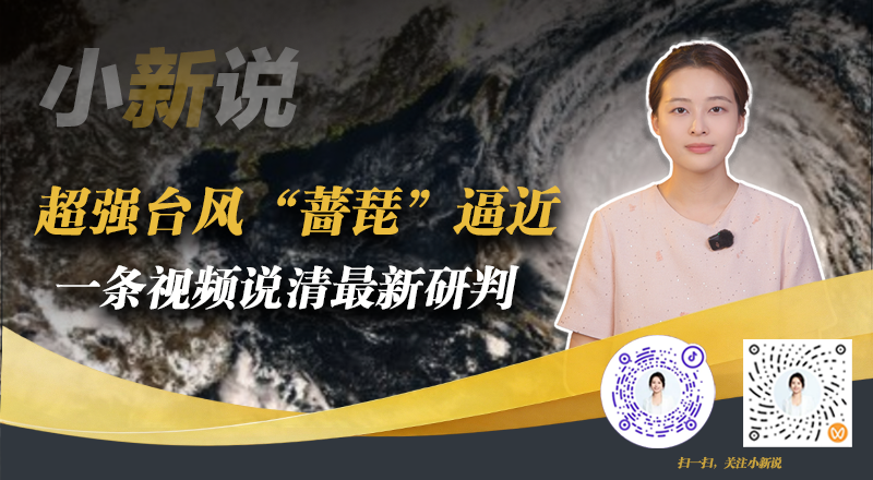 小新说在线封面(2026.10.9)(3).png
