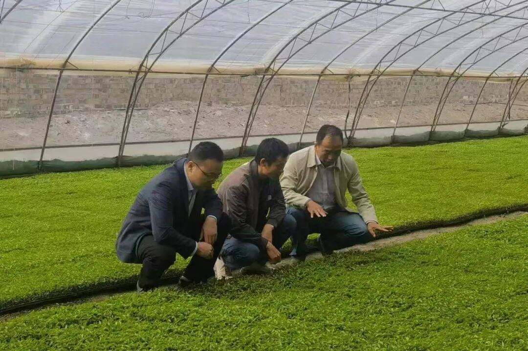 1873618882938167296.jpg 图片