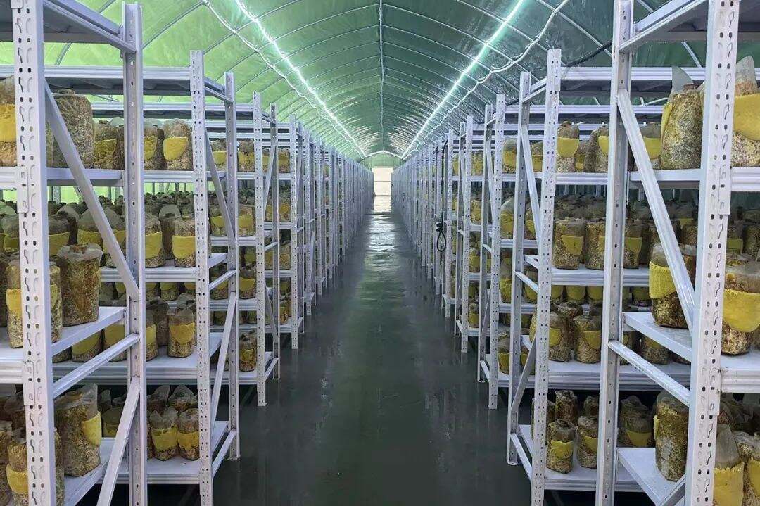 1873618882917195776.jpg 图片