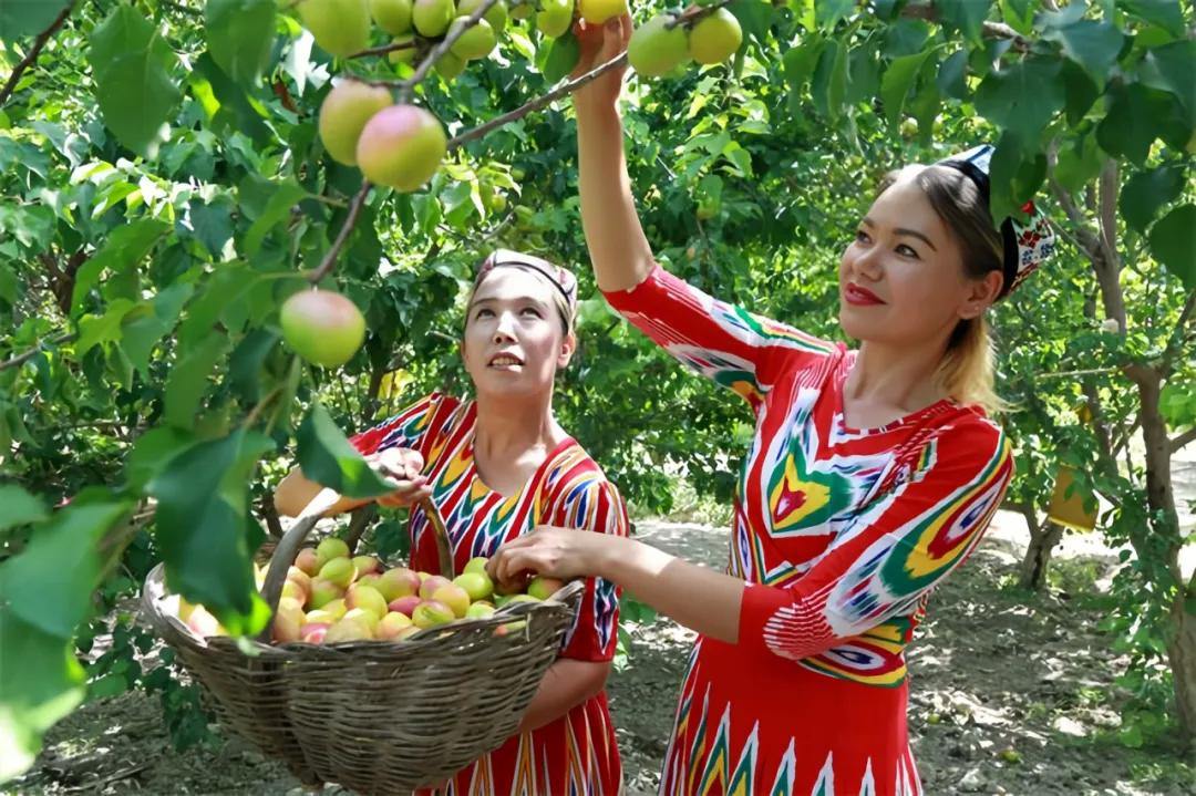2068884376145248256.webp 图片