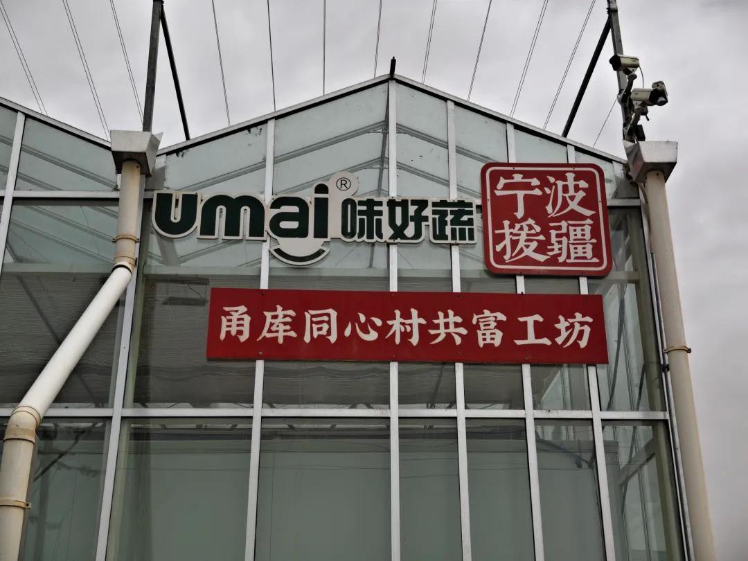 2068884842824482816.webp 图片
