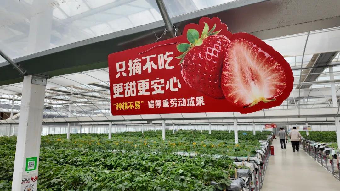 2068884843675926528.webp 图片
