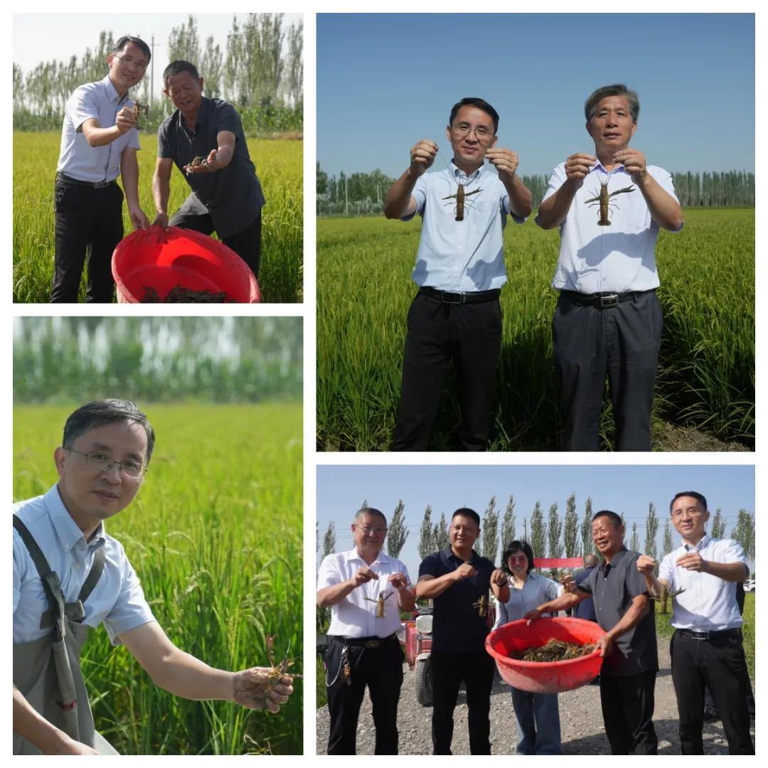 2077287905159528448.webp 图片