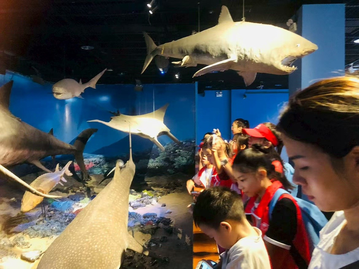 温州科技馆3.JPG