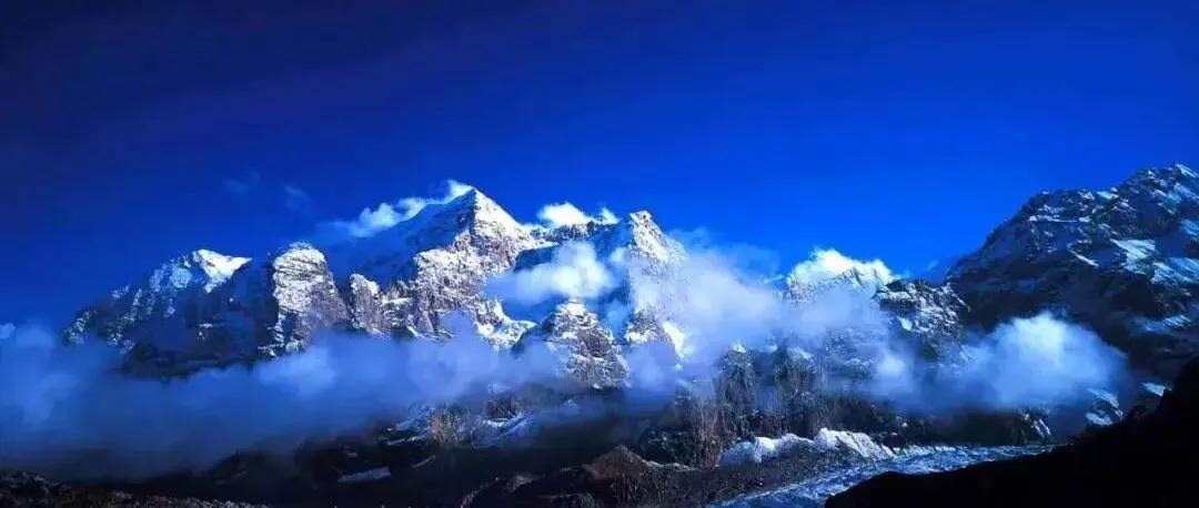 2063866895647322112.webp 图片