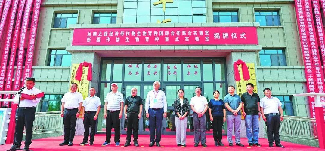 2063865653722296320.webp 图片