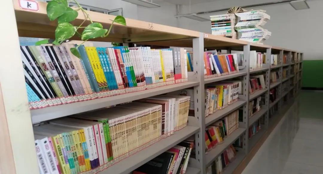 2078009407500668928.webp 图片