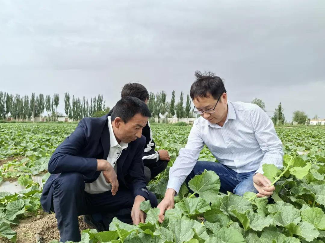 2046148293552971776.webp 图片