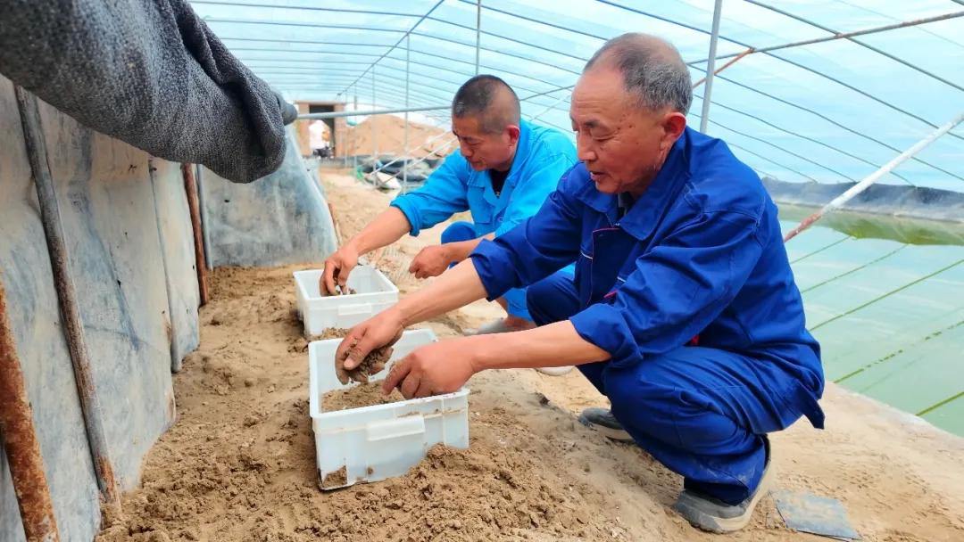 2051847764253286400.webp 图片
