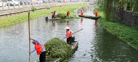 台风过后 保洁河道