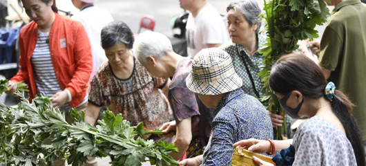 买把菖蒲过端午