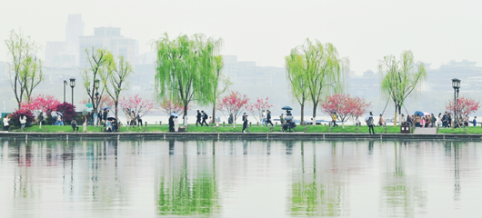 红绿相映 晴雨相间