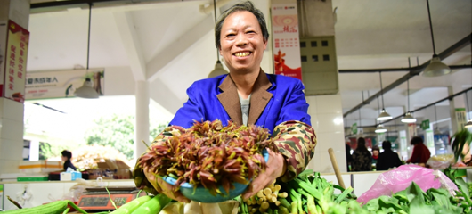 建德：又到野菜飘香时