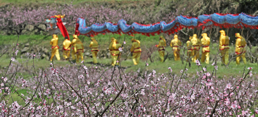 富阳“山乡大会”发展乡村经济