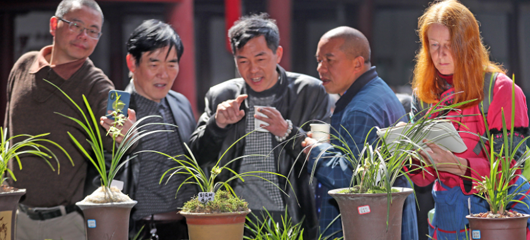 杭州富阳：共赴兰花之约
