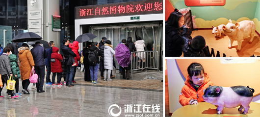 春节日均一万三千人参观！杭州市民游客冒雨排队看“佩奇”