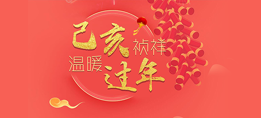 己亥祯祥 温暖过年 2019春节特别策划