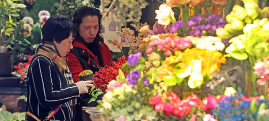年宵花卉迎春节