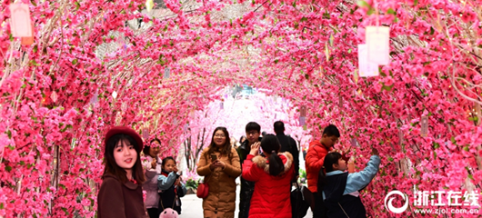 “桃花”走廊喜迎春