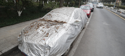 “僵尸车”霸占路边车位 杭州一路段免费停车惹吐槽
