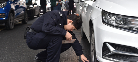 新年新车 扎堆上牌