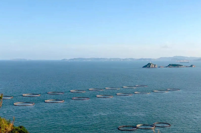 力争全产业链产值规模达250亿元！浙江印发实施方案，建设现代化海洋牧场