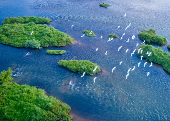 缩差共富，八方社会力量助力！浙江出台方案，公布服务清单