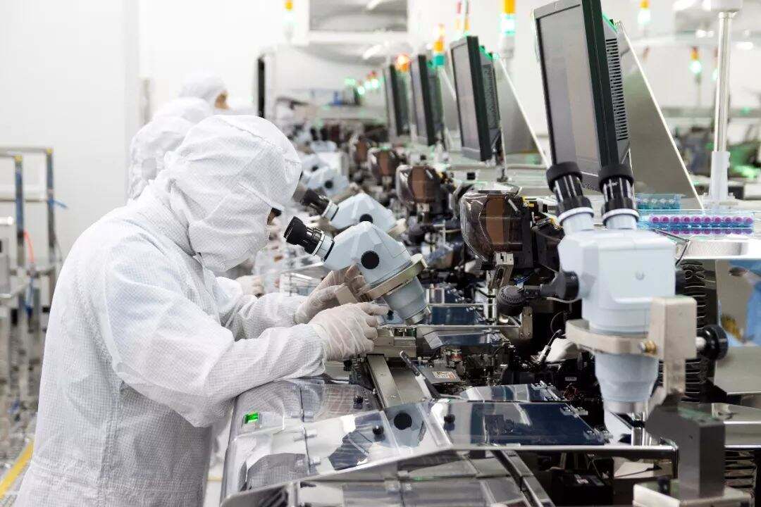 593.jpg