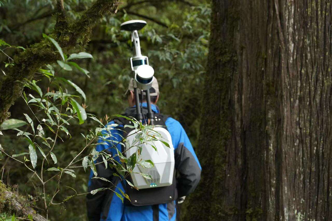 使用背包式激光雷达传感器给森林做“CT”。受访者供图.jpg