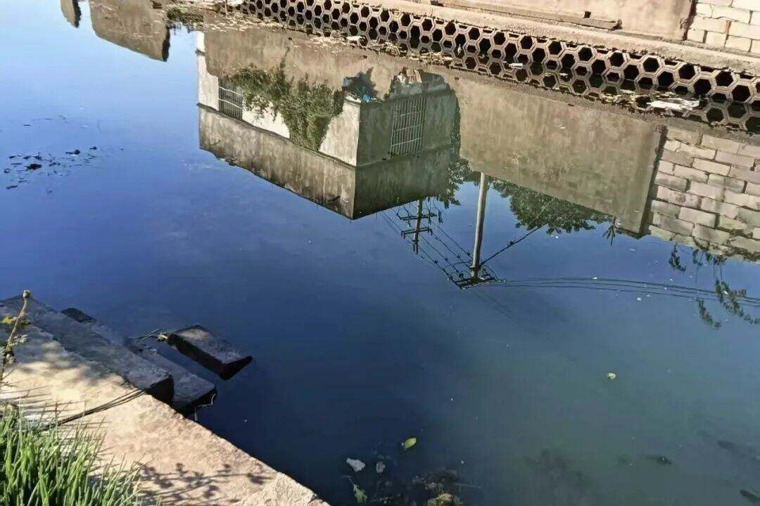 1992777263002660864.jpg 图片