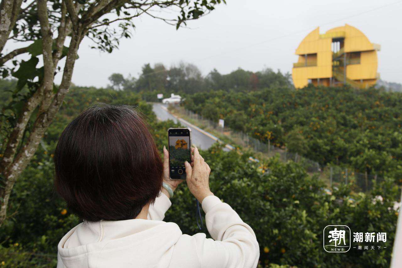 游客正在橙之源果业基地拍照打卡.JPG