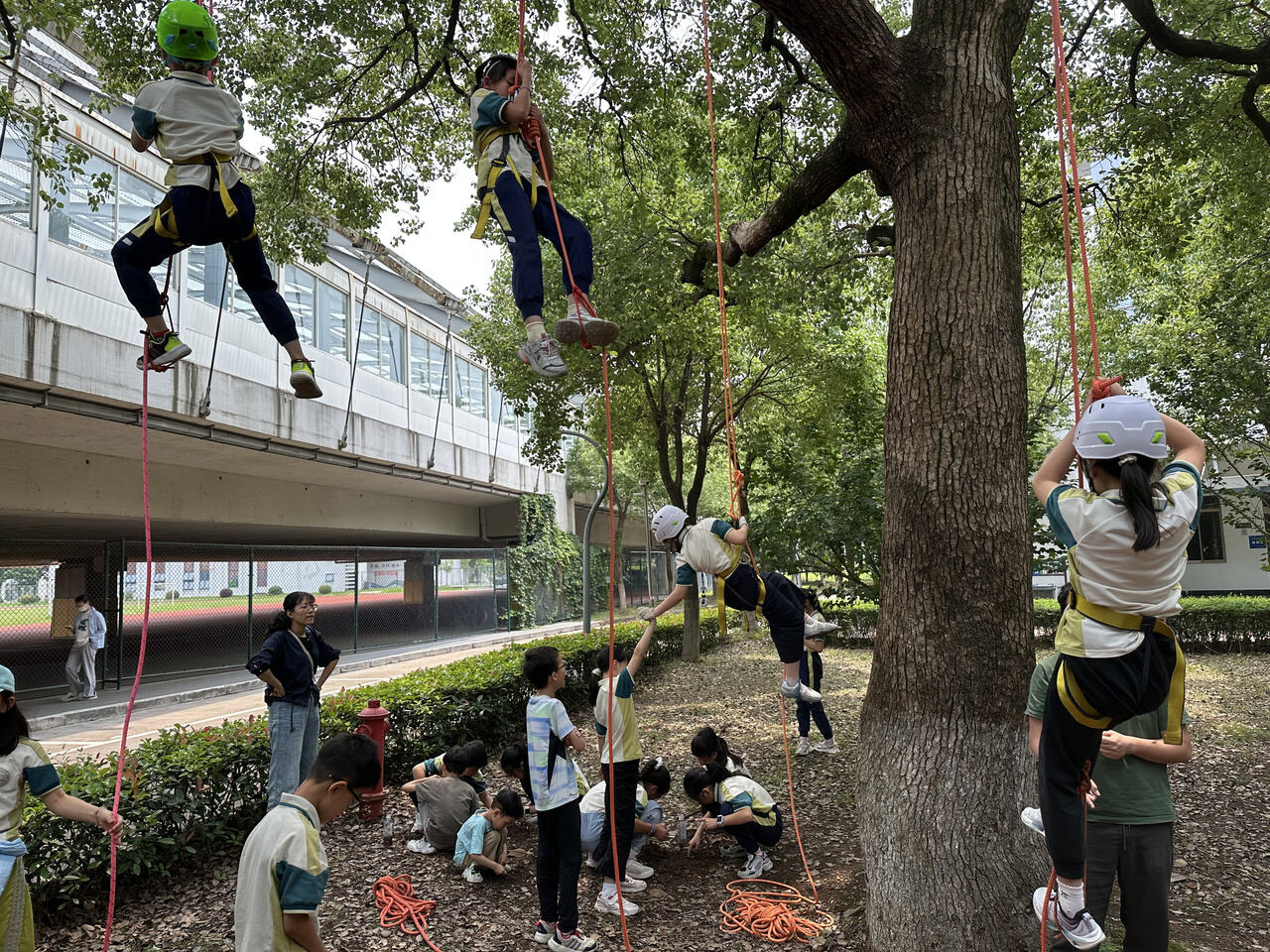 08 孩子们在攀树。受访者供图.jpg