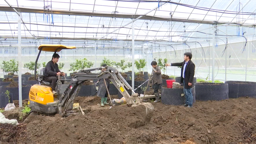 2006171166648958976.png 图片