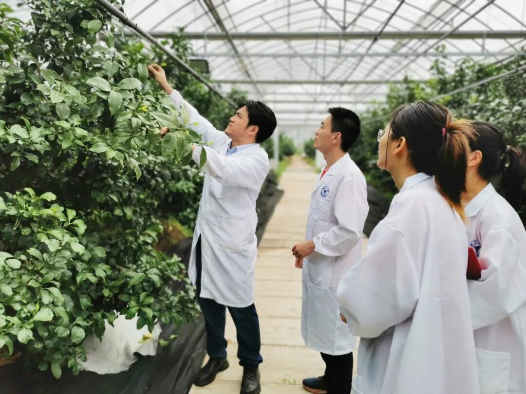 2006171166388912128.jpg 图片