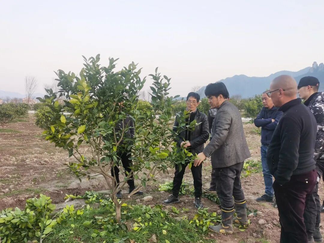 2006171166372134912.jpg 图片