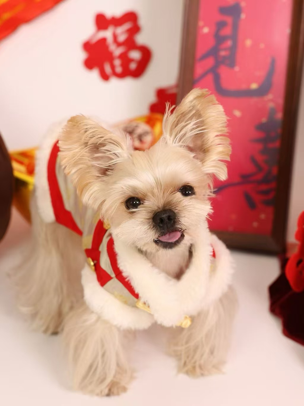 2015944332988567552.jpg 02d345238d8ab4603458d96f16c58310.jpg