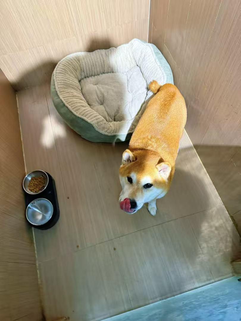 2015944332934041600.jpg 987d0662fc945b1b2249323994c41737.jpg