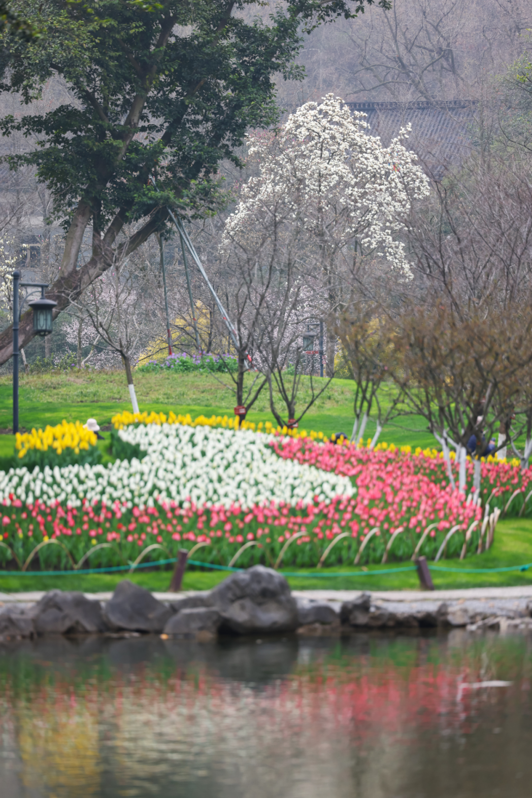 2032293856078123008.png 图片