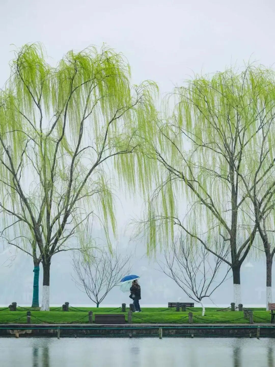 2032293855864213504.jpg 图片