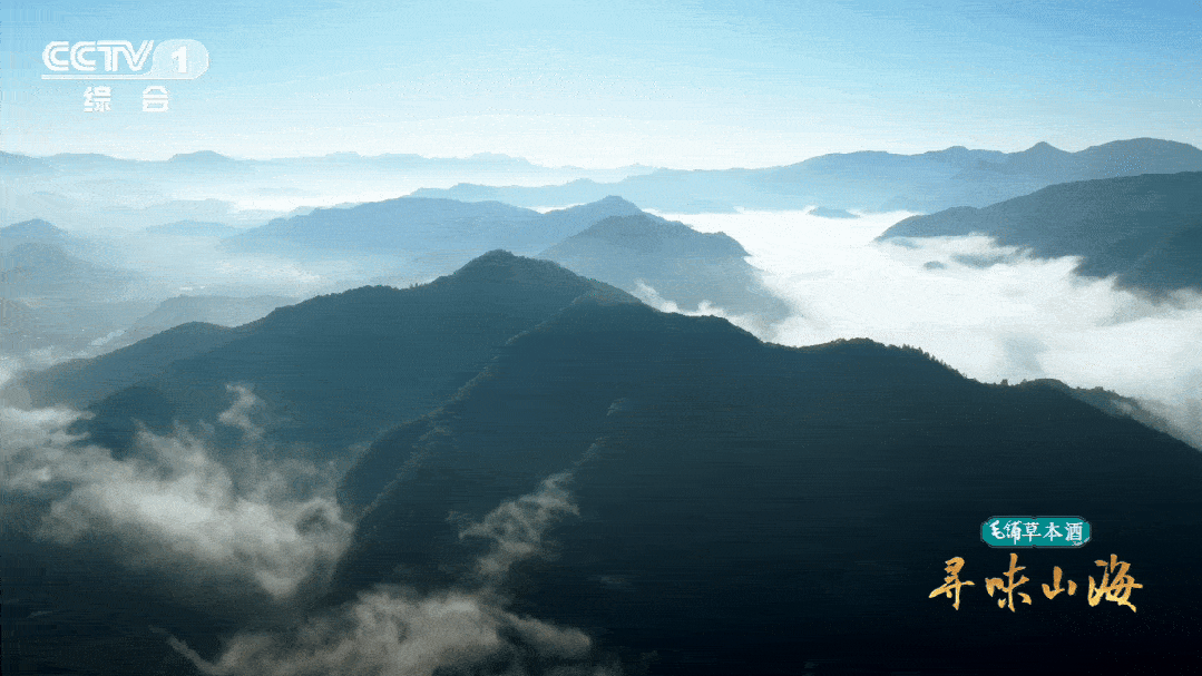 2033011591741362176.gif 图片