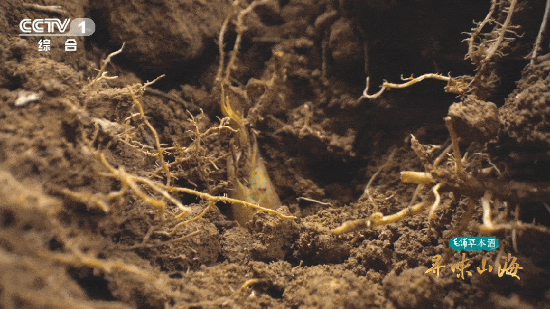 2033011592244678656.gif 图片