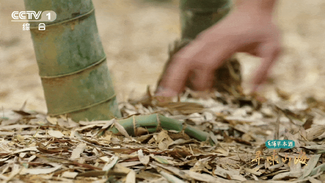 2033011593981120512.gif 图片