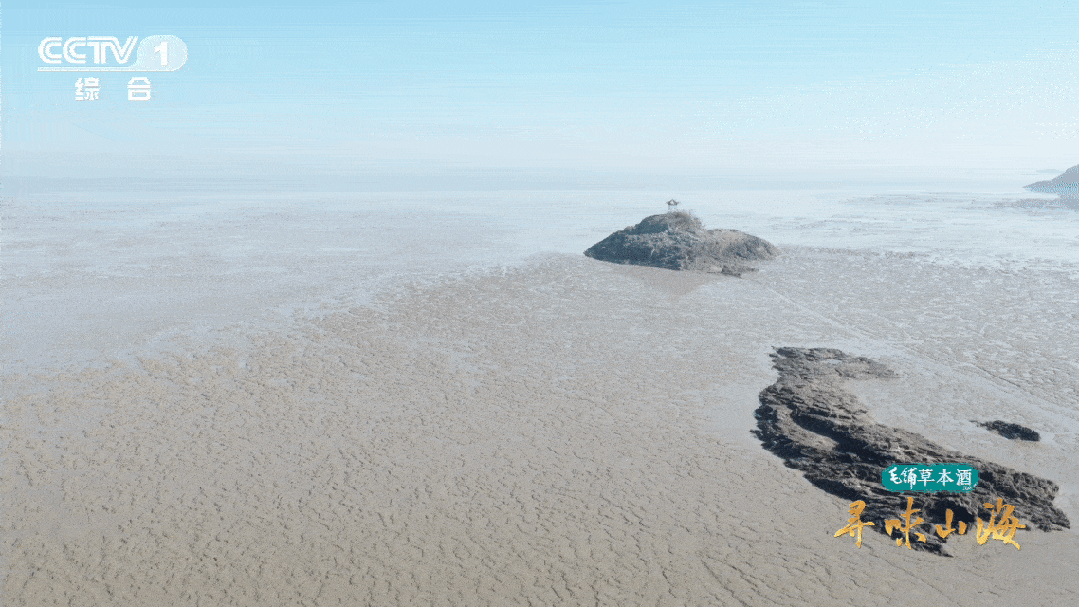 2033011596648697856.gif 图片