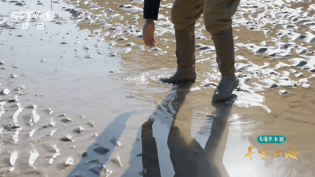 2033011597730828288.gif 图片