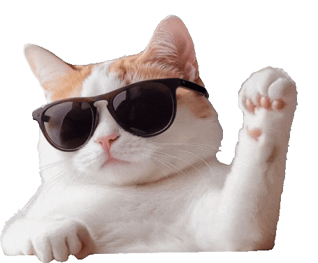 2034964891323854848.gif 图片