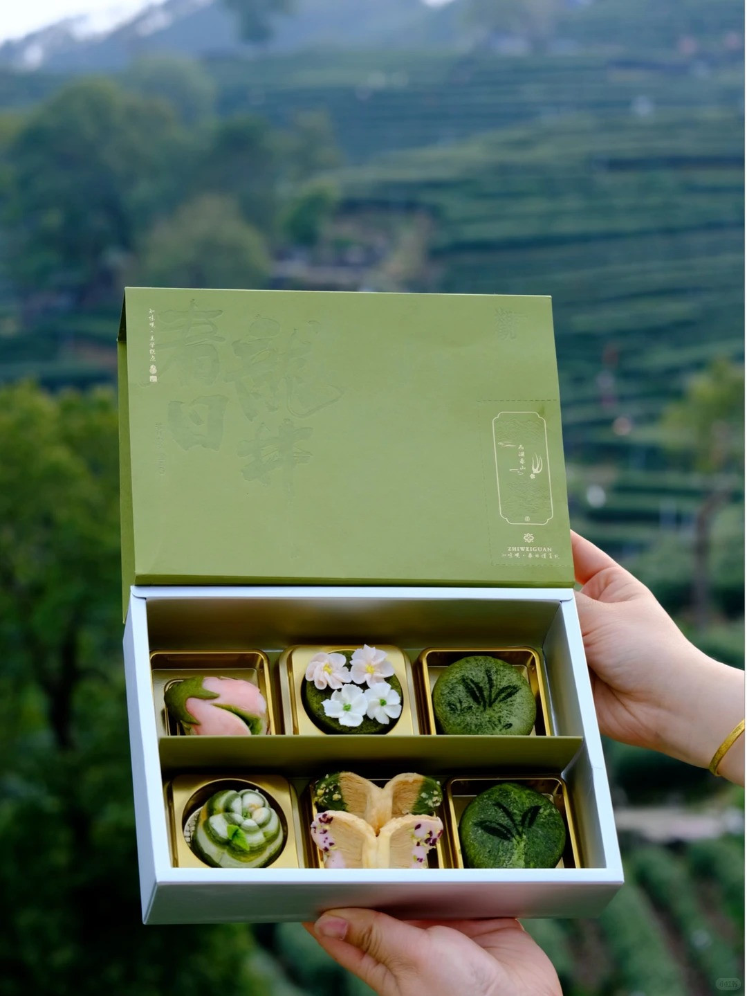 观春园_龙井入点,春落舌尖_1_知味观1913 现烤糕点_来自小红书网页版.jpg