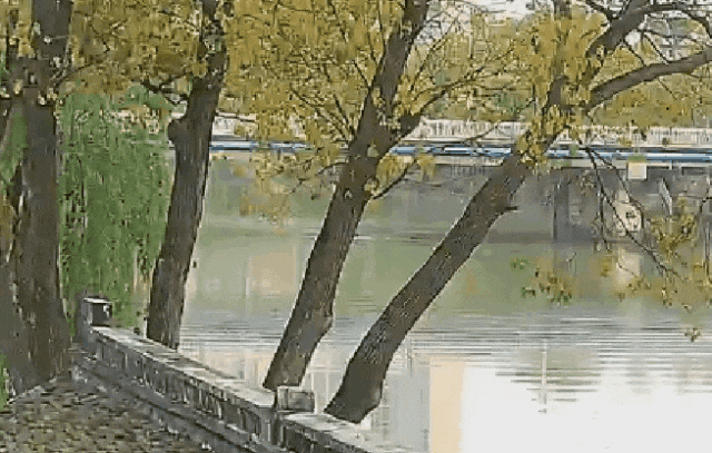 2041861038755803136.gif 图片