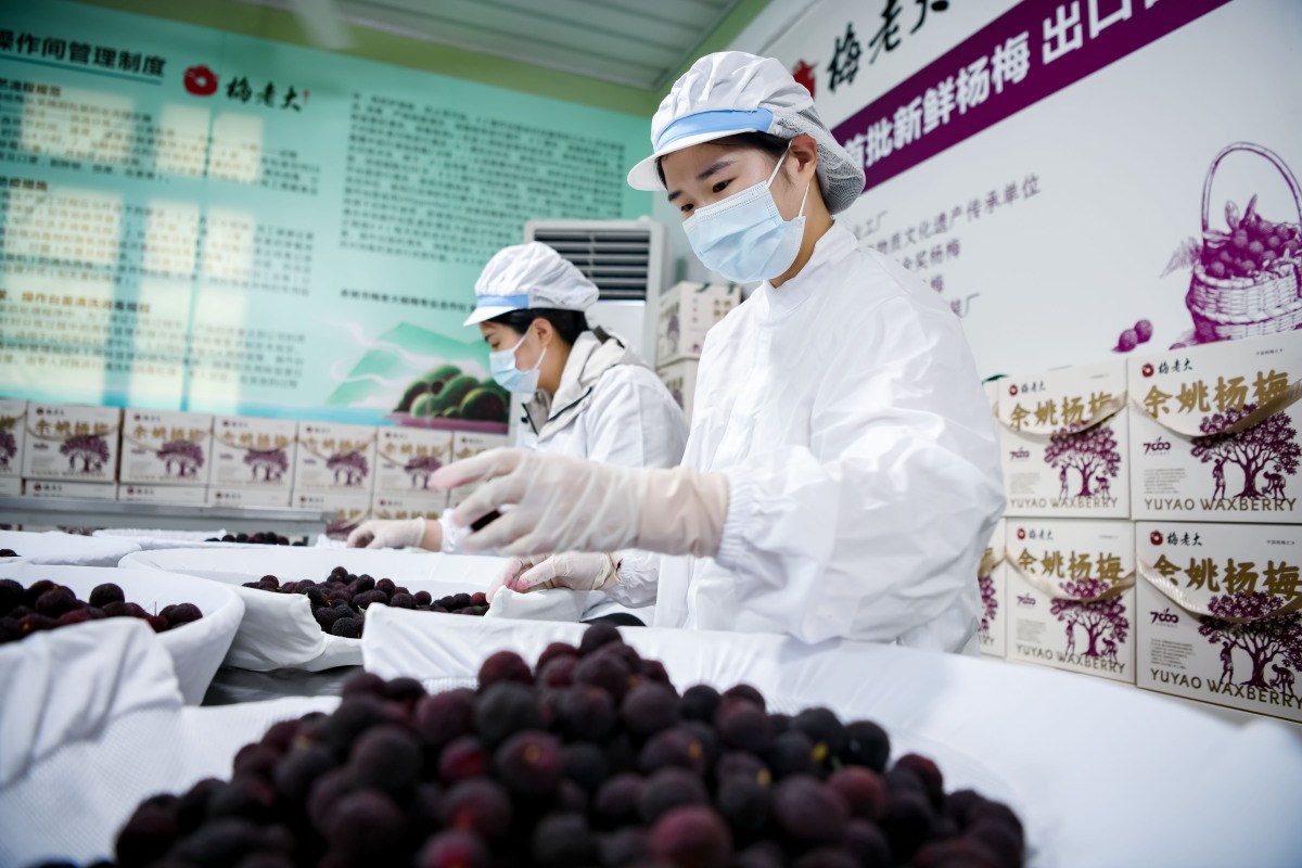 2057253331687907328.jpg 杨梅111微信图片_2026-05-20_165621_238.jpg