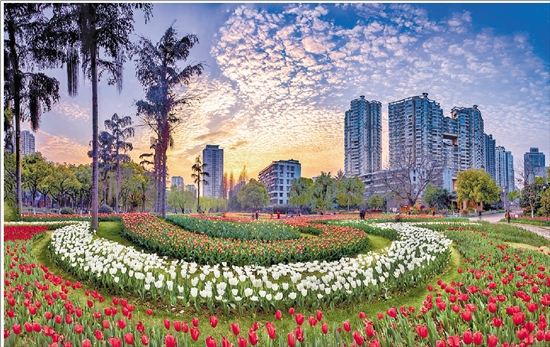 微信图片_20260531225957_68_2.png