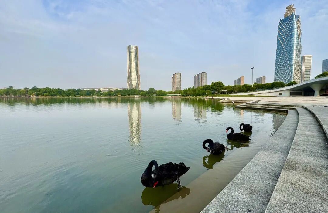 17174081035908.jpeg 图片
